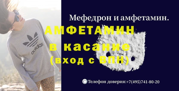 индика Алексин