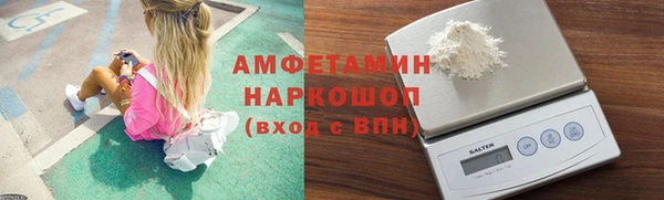 индика Алексин