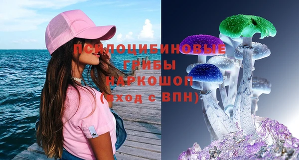 индика Алексин