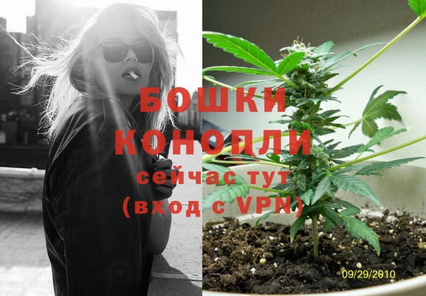 индика Алексин