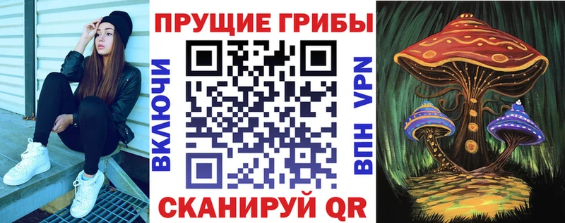 хочу наркоту  Лесосибирск  Галлюциногенные грибы Magic Shrooms 