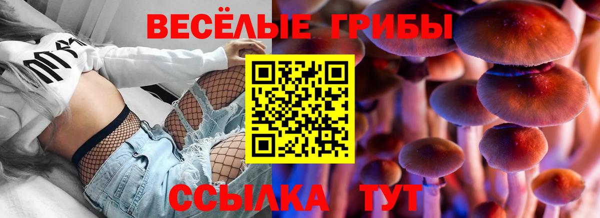 Галлюциногенные грибы Psilocybine cubensis  Вход с VPN  Лесосибирск 
